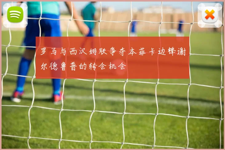 罗马与西汉姆联争夺本菲卡边锋谢尔德鲁普的转会机会