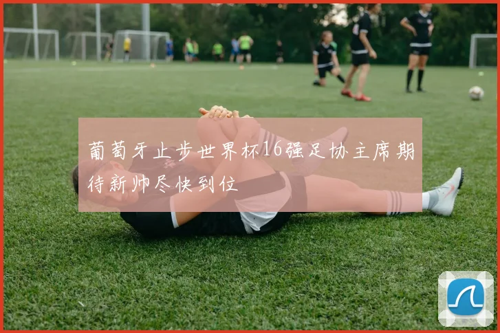 葡萄牙止步世界杯16强足协主席期待新帅尽快到位