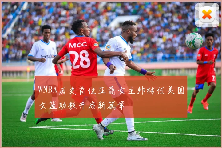 WNBA历史首位亚裔女主帅转任美国女篮助教开启新篇章